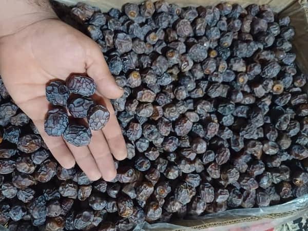 خرید خرما خاصویی آلویی + قیمت فروش استثنایی 4